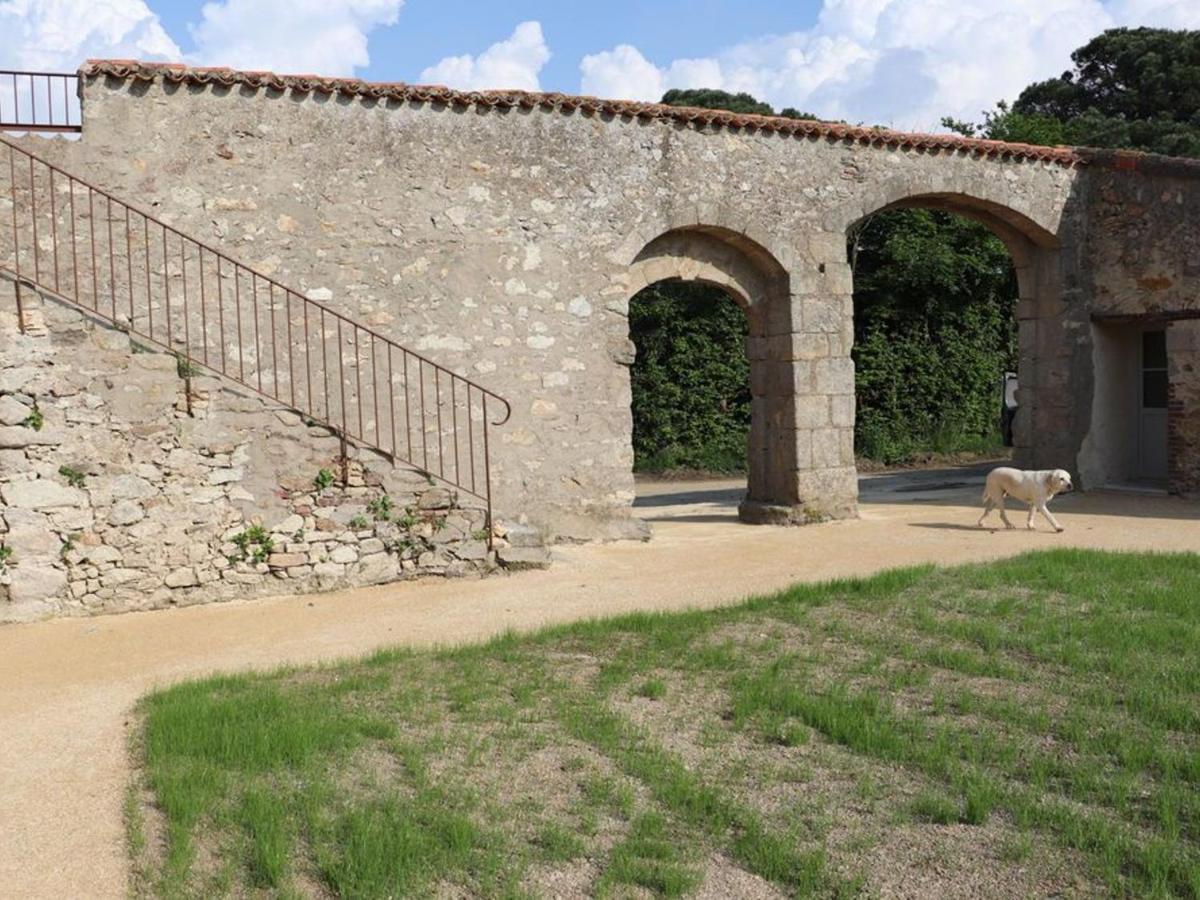 Gite 18Eme Renove Avec Piscine Couverte, Terrasse, Loisirs Et Wifi - 6 Pers. - Fr-1-426-432 Les Herbiers Eksteriør billede